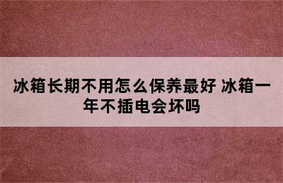 冰箱长期不用怎么保养最好 冰箱一年不插电会坏吗